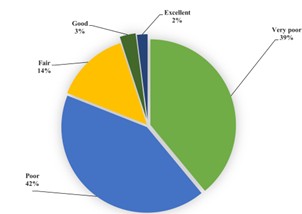 Figure 1. Distribution of TikTok videos on Alzheimer’s according to the DISCERN categorization